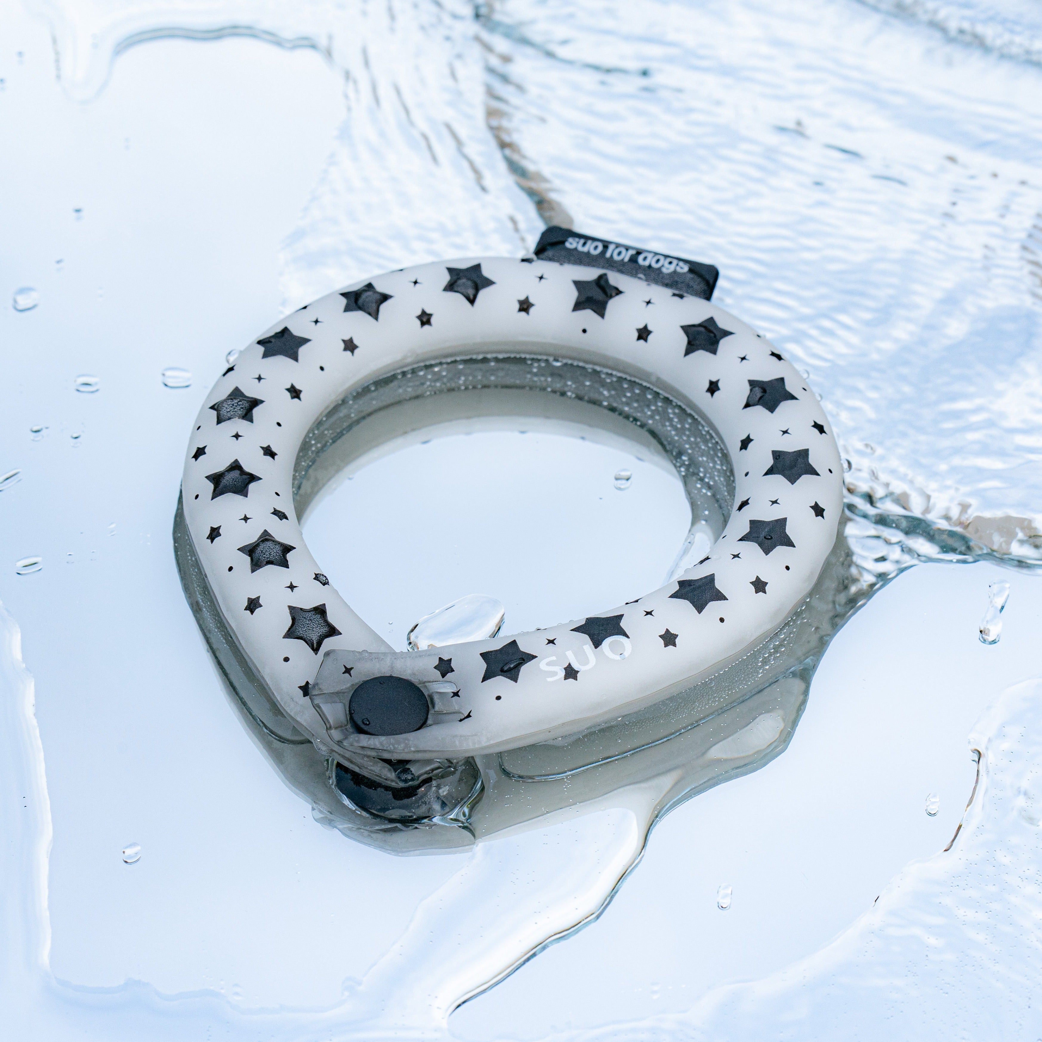 SUO RING for dogs 28°ICE star ボタン付