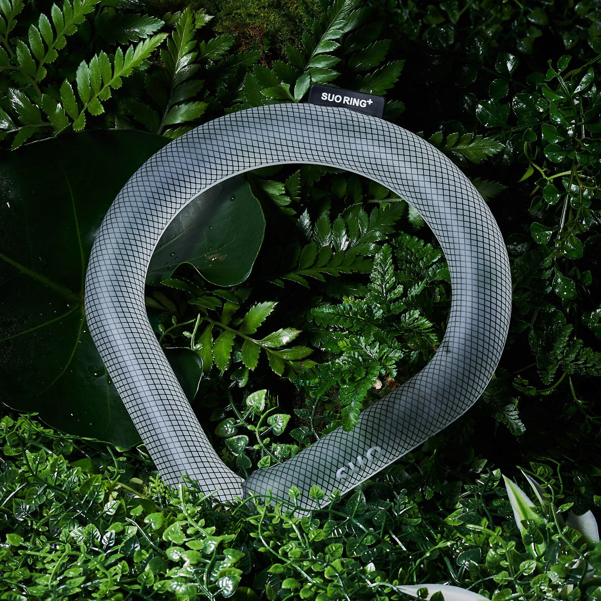 SUO RING 18°ICE LL