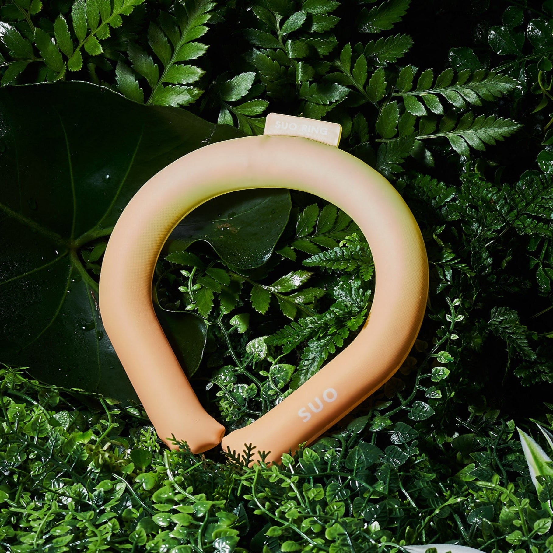 SUO RING 28°ICE gradation
