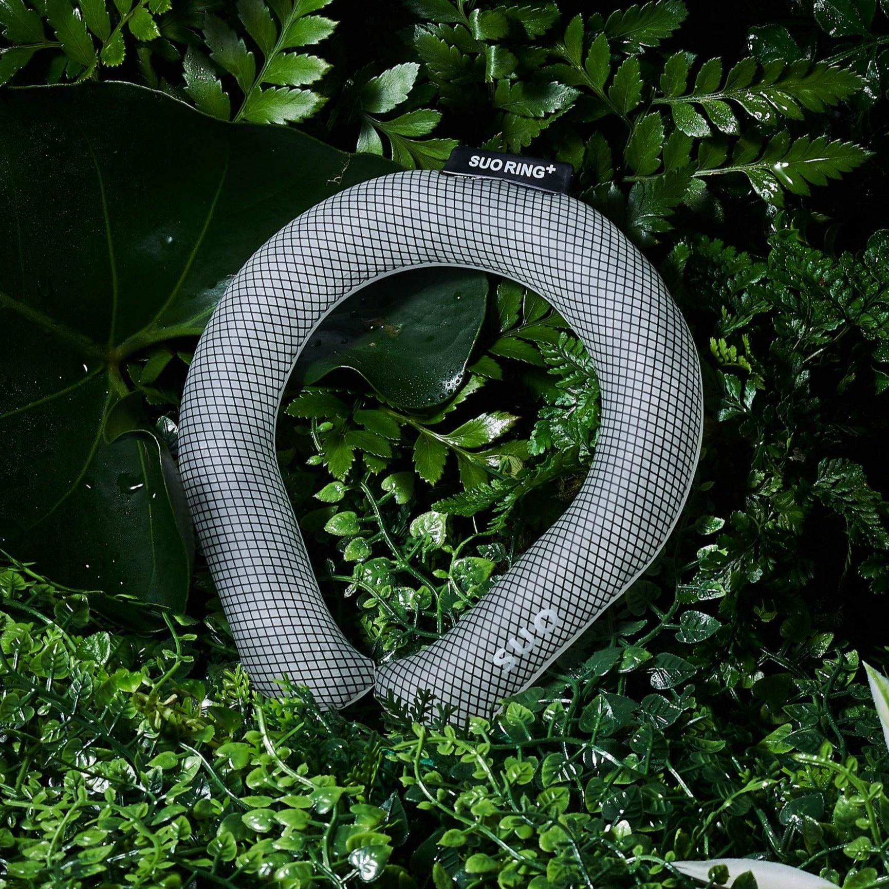 SUO RING Plus 18°ICE