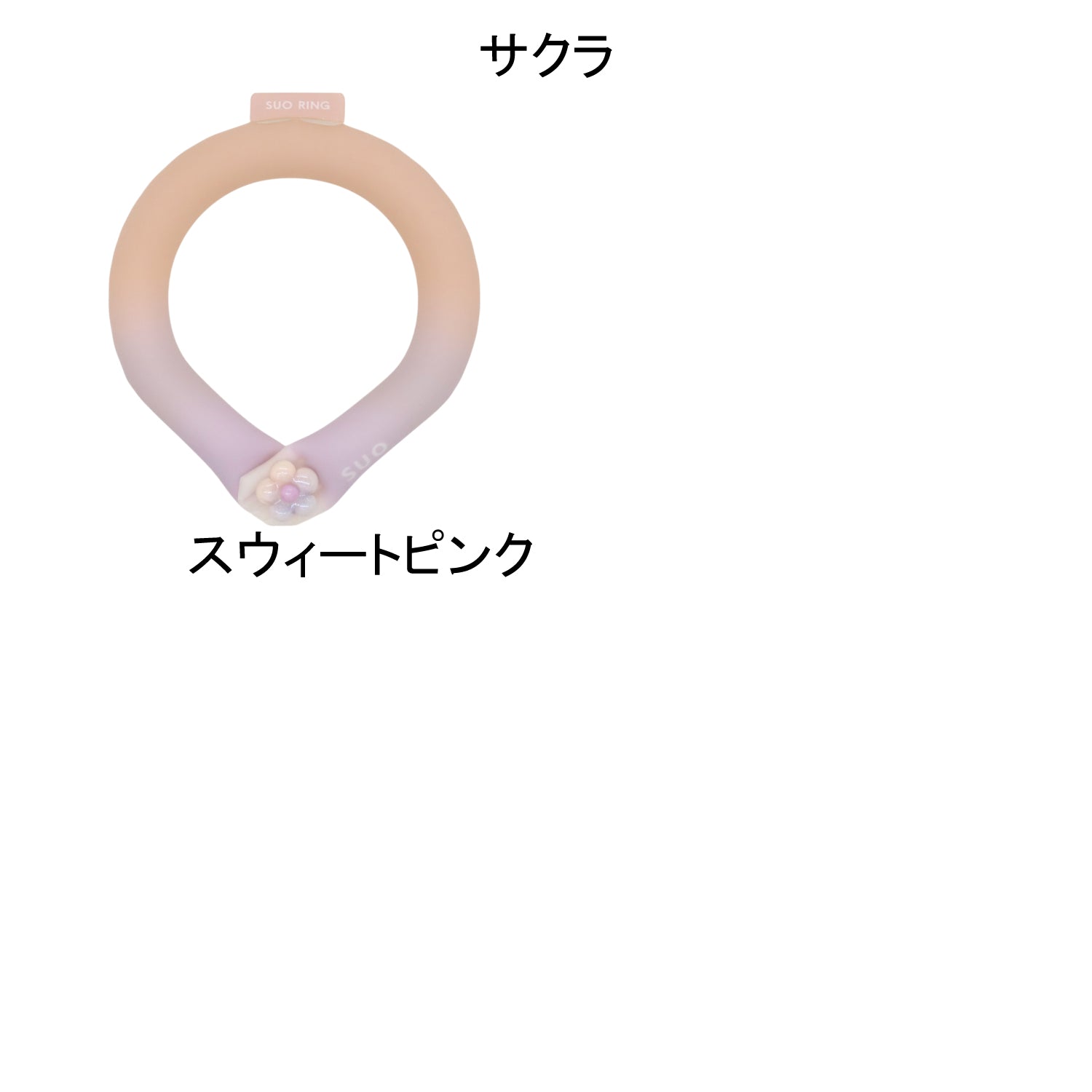 デコレ SUO RING for pets 28°ICE gradation ボタン付