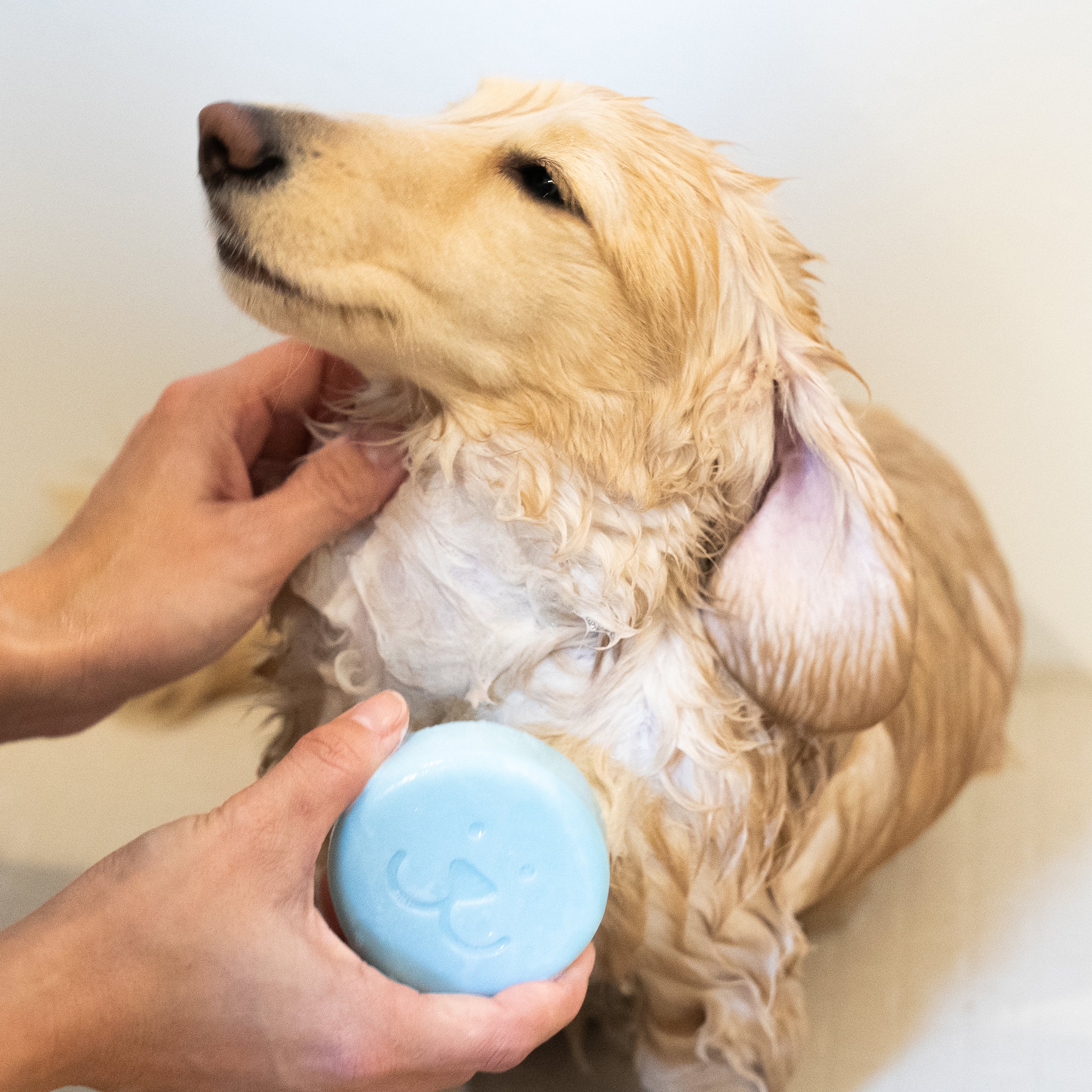 SUO FOR DOGS ALL IN ONE SHAMPOO BAR
