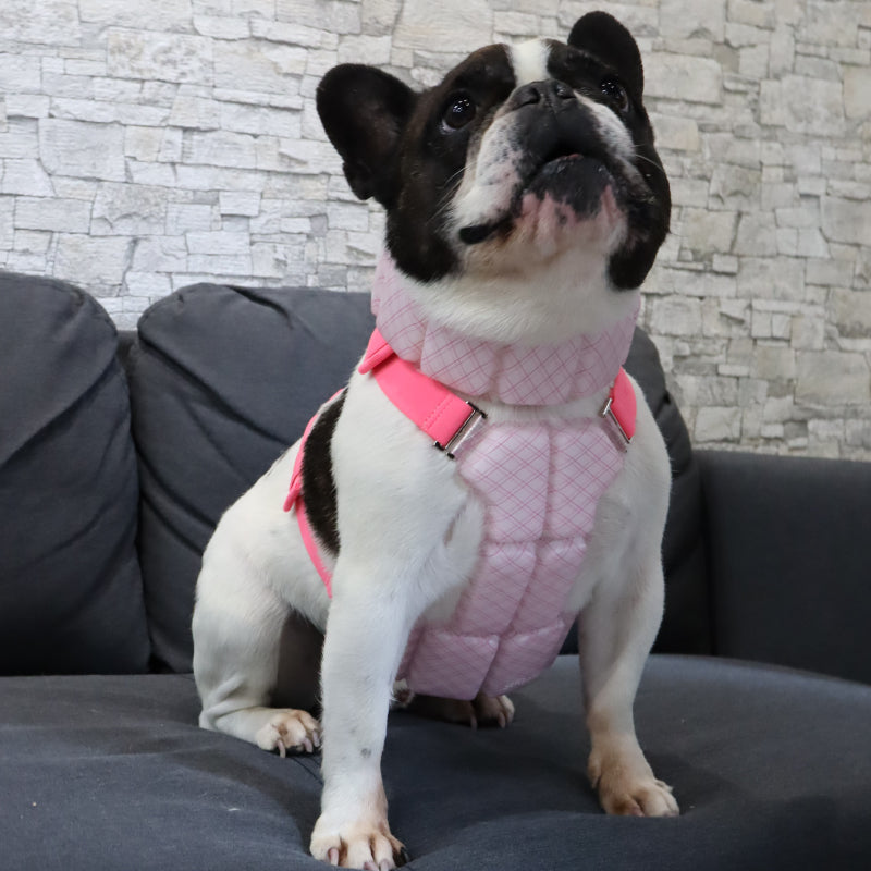 SUO 256 ICE for dogs COOL Vest プラス グラデチェック