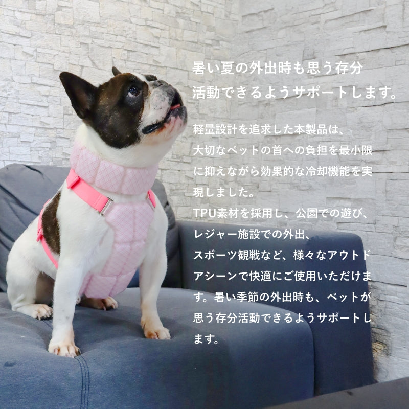 SUO 256ICE for dogs SUO BAND プラス グラデチェック