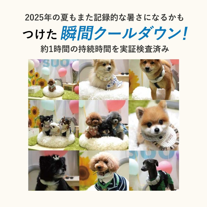 SUO 18°ICE for dogs WBAND グラデチェック