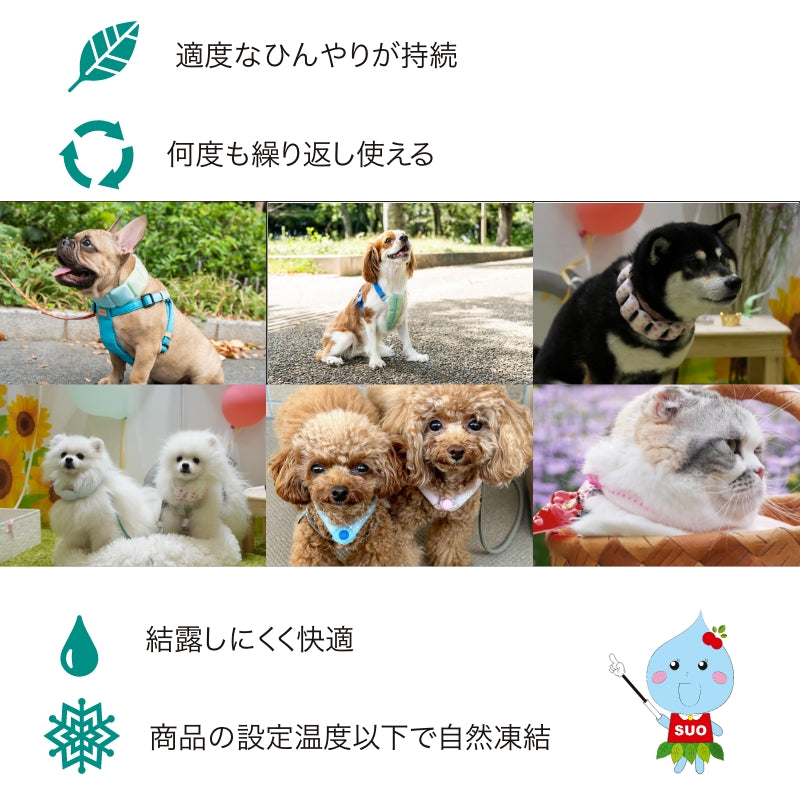 デコレ SUO RING for dogs 犬柄 reflector ボタン付