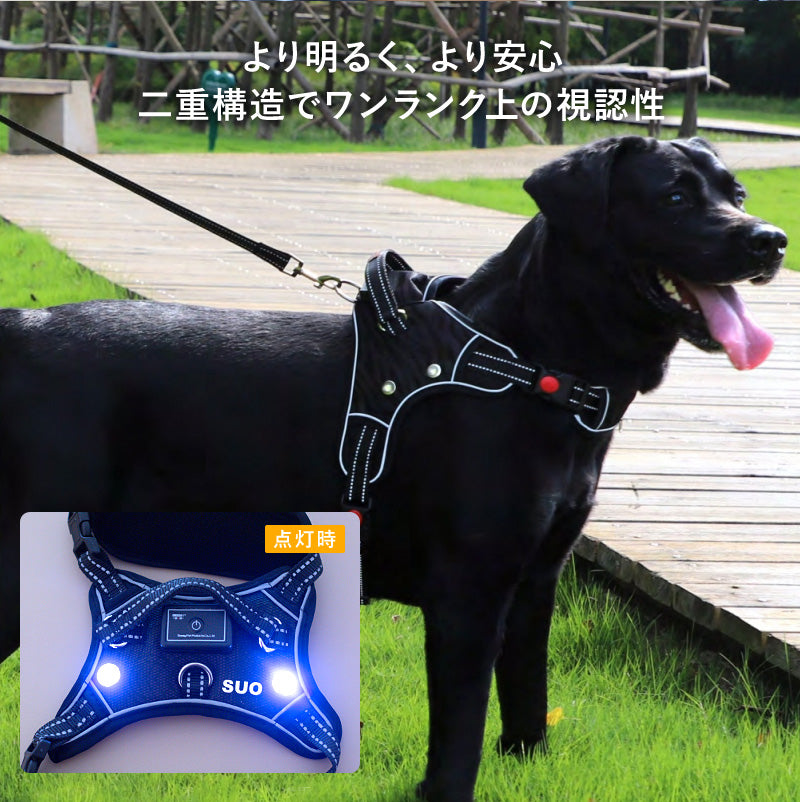 SUO LEDライト付きハーネス RLG-16 | SUO