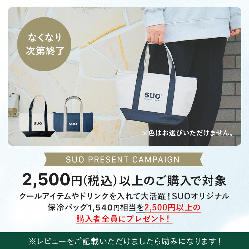 PRESENT CAMPAIGN