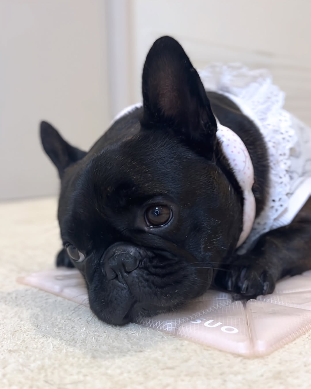 SUO 28°ICE COOL Mat2