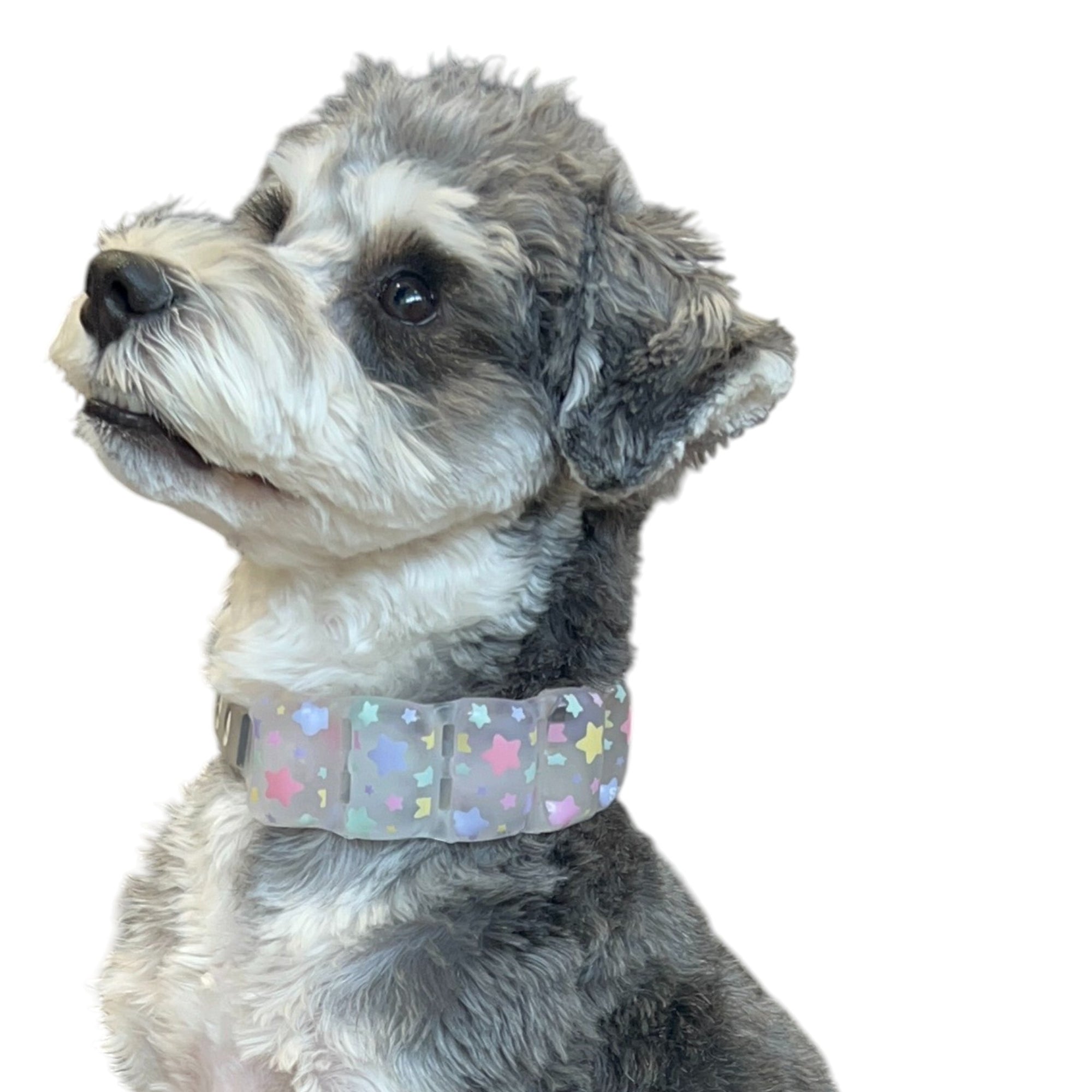 SUO 18°ICE for dogs DROP