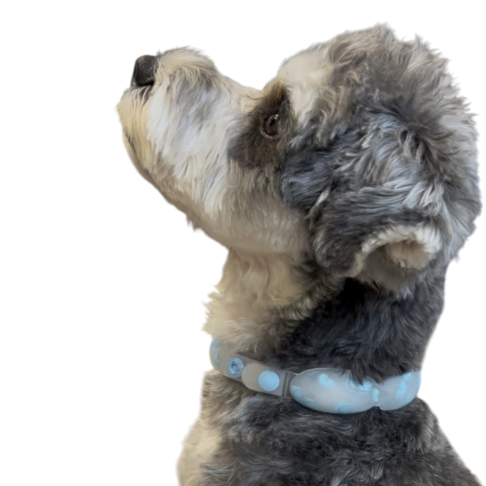 SUO 18°ICE for dogs CANDY ハート