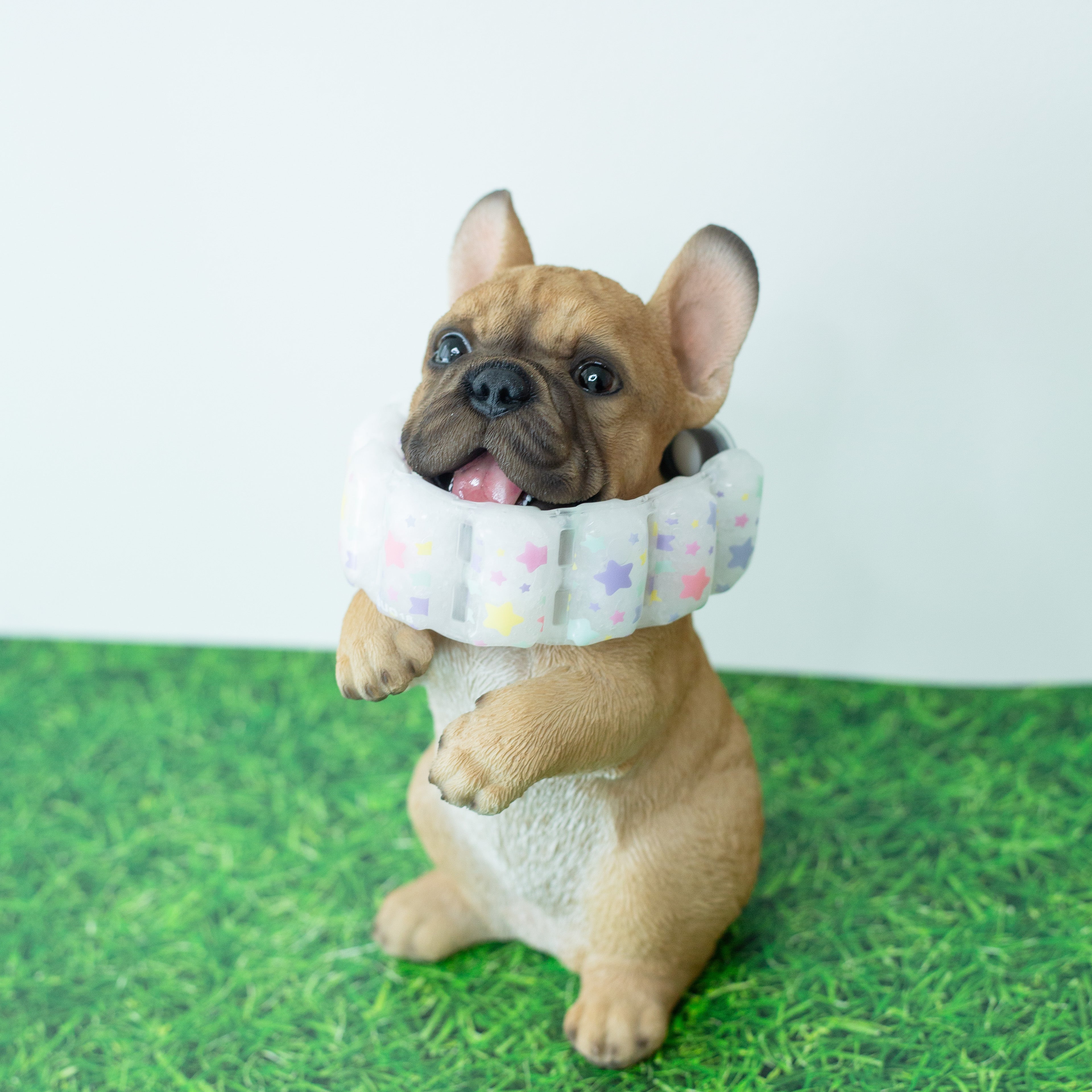 dig太郎ページ Mサイズ SUO 18°ICE for dogs DROP | SUO