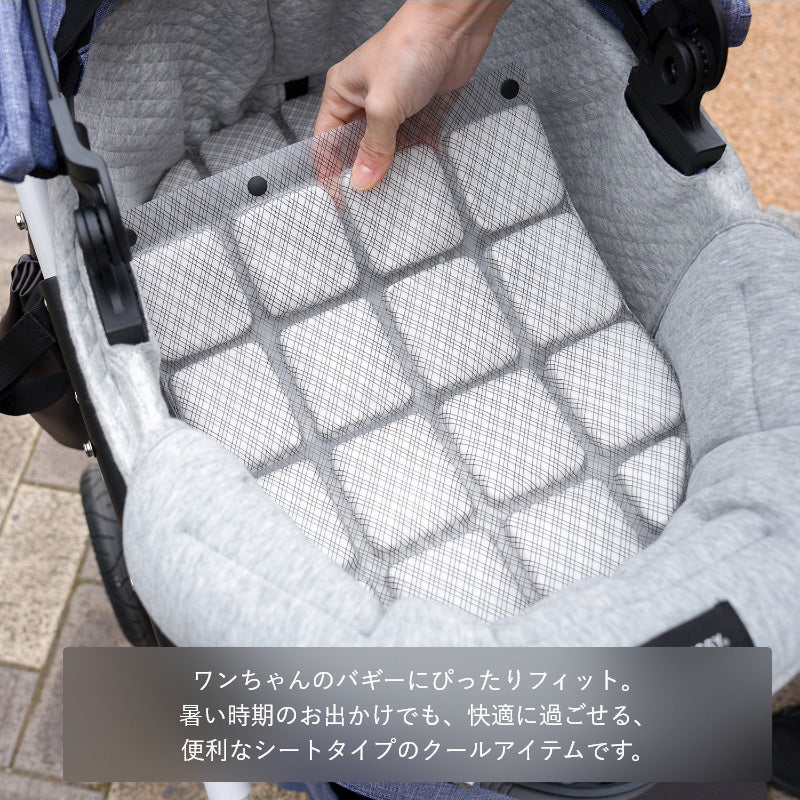 SUO V3 MULTI ICE Buggy グラデチェック ブラック