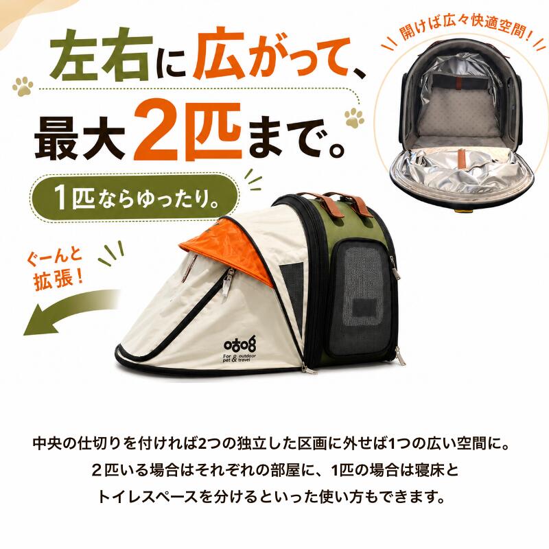 SUO キャリーバッグ